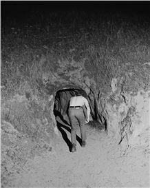 “Armillaria” by Photographer Jonah Reenders