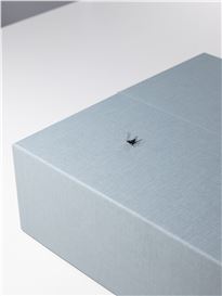 Ryan Gander at Basement Roma