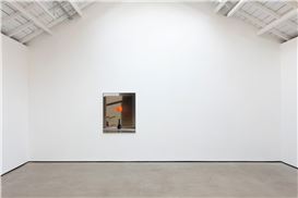 Michael Wilkinson’s Sterile Still Lives