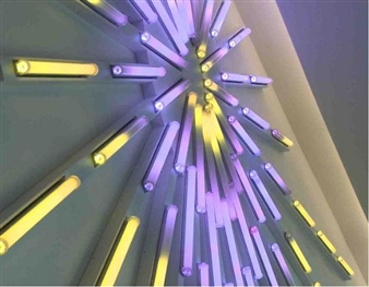 Rice Art Program Hopes to Raise University's Aesthetic Profile