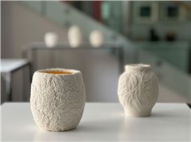 Hitomi Hosono’s “The White Garden”