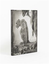 Gothic resilience: Thomas van Houtryve's 14-year vision of Paris's icon