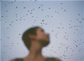 Courtney Allen: Splendor