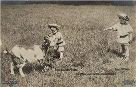 Cologne Museum Exhibition Explores Urban Animal Stories Through Archive Art