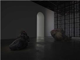 Pierre Huyghe “In Imaginal“ at Marian Goodman, New York