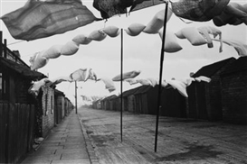 10 Opening Exhibitions to Watch