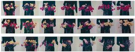 Key Work by Bas Jan Ader Donated to Stedelijk Museum