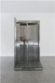 Agata Ingarden at Gdansk City Gallery