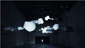 Exhibitions Coming to Greater-Houston Area Museums This Summer