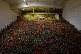 The Generative Slowness of Gallery Weekend Beijing