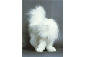 Haus der Kulturen der Welt Hosts The Berlin Art Book Fair & Festival 2025