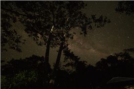 Earth Week: Tatiana Lopez: In Between Dreams and Forests