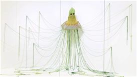 Yicong Li (b. 1999, CN)