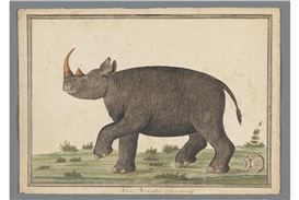 Rijksmuseum and National Archives Acquire Swellengrebel Family Archive