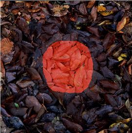 Andy Goldsworthy: Fifty Years Review – a Wild Walk Between Life, Death and Sheep-Shearing
