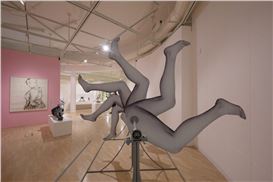 Wings, Heads, Legs & Hidden Gems: Beyond the Canvas at Rugby Art Gallery.