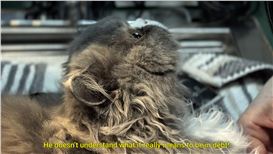 Freudian Typo (Ghazaleh Avarzamani and Ali Ahadi): Condensed Word, Displaced Flesh