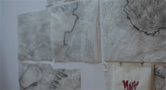 Marie Lorenz Talks About her Inspirations Behind "The Tide and Current Taxi" Project