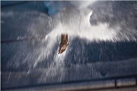 A  City That Breathes Art: In Catanzaro Contemporanea Contamination Takes the Stage