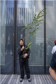 Green was the color at Frieze New York 2025