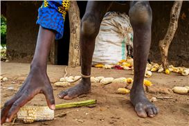 Inclusive Nation by Marijn Fidder