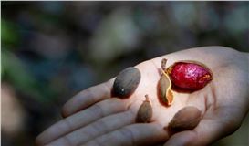 Assembling Grounds: Practices of Coexistence