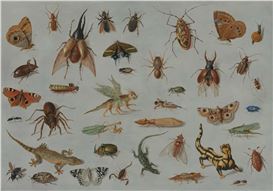 New ‘Little Beasts’ Exhibition Explores the Intersections of Natural History and Art