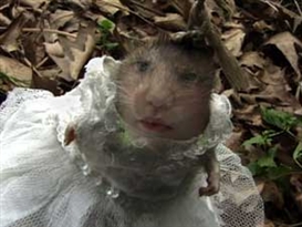 Cecilia Condit