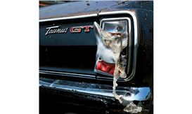 Centennial Celebration: Kunststiftung DZ BANK Honors Photographer Arnold Odermatt