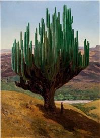 Masterpiece Story: Cardón, State of Oaxaca by José María Velasco