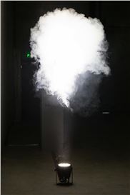 Pauline Boudry and Renate Lorenz at NEST, The Hague