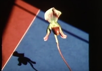 Great Artists in Their Own Words – But Is It Art?