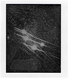 Masha Weisberg: Inheriting the Silence