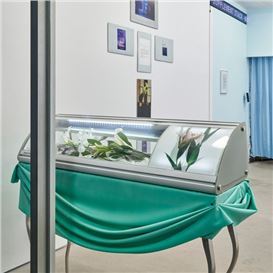 June's Must-See Art Shows in NYC and Beyond