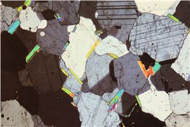 Mungo Thomson's "Time Life" series transforms consumption into monumental art