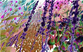 Garden Futures: Not for Those Who Love a Manicured Lawn