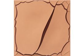 Gagosian Presents Adriana Varejão's Debut Exhibition in Athens