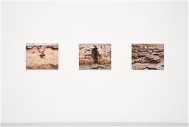 Passerelle Centre d'art Contemporain Opens an  Exhibition of Works by Aurore Bagarry
