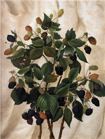 3 Exhibitions to Catch at the Farnsworth