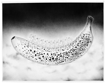 10 Opening Exhibitions to Watch