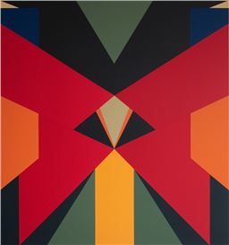Fanny Sanín: Geometric Equations