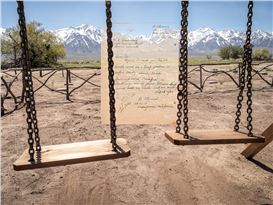 Dean Terasaki: Veiled Inscriptions