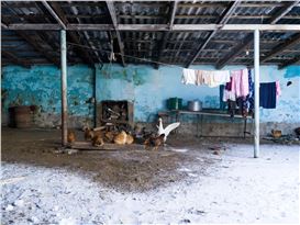 All About Photo Presents 'It Matters' by Jan Janssen