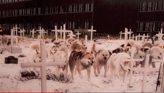 An interview with artist Anthony Goicolea