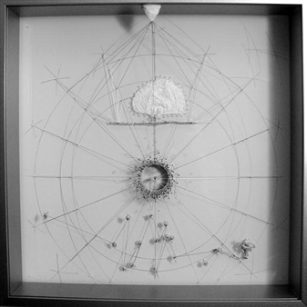 ALEXIS MYRE Orchid Petal and Small Twig of the Upper Hemisphere: "Ojo de Dios"