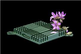 Robert Lawrence Price II