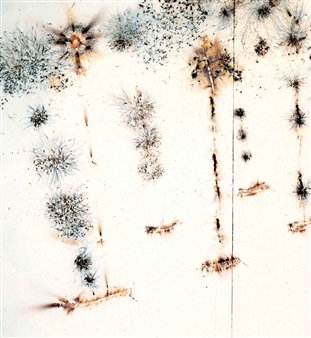 Asian Art Discourse in the 2000s