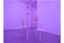 Lyz Parayzo challenges modernism at Efraín López