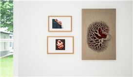 DIVE INTO BRAZILIAN ART