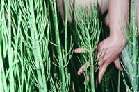 One Photographer’s Deeply Personal Meditation on Love and Grief